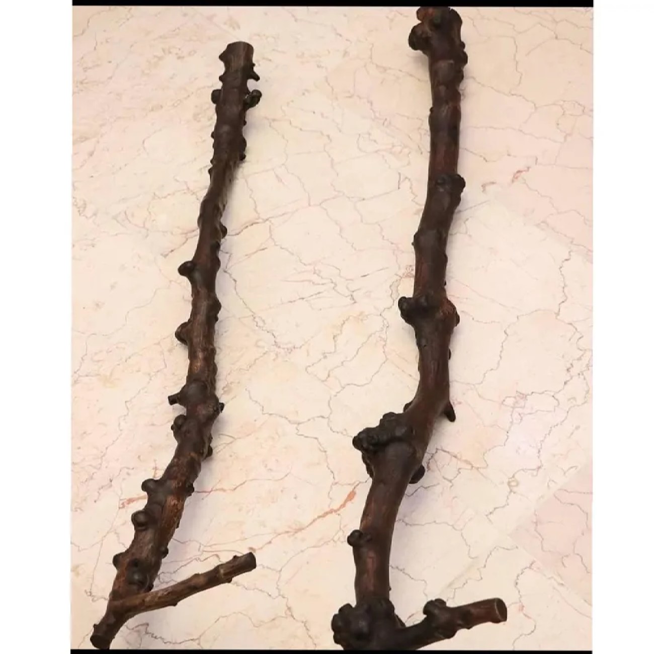 Main image of 伊朗德尔维什民族木杖