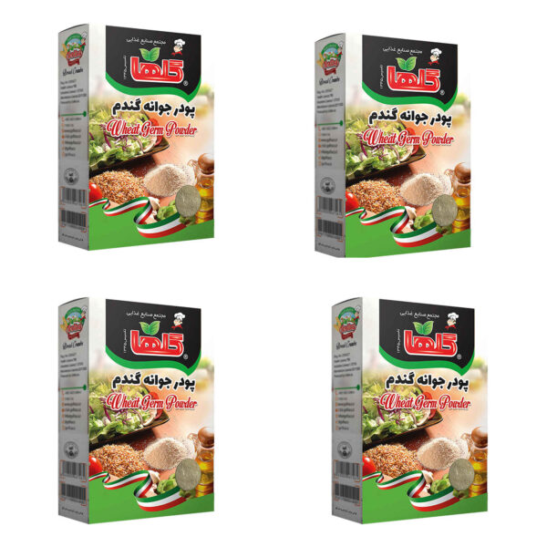 伊朗干小麦胚芽粉 – 200克（×4）