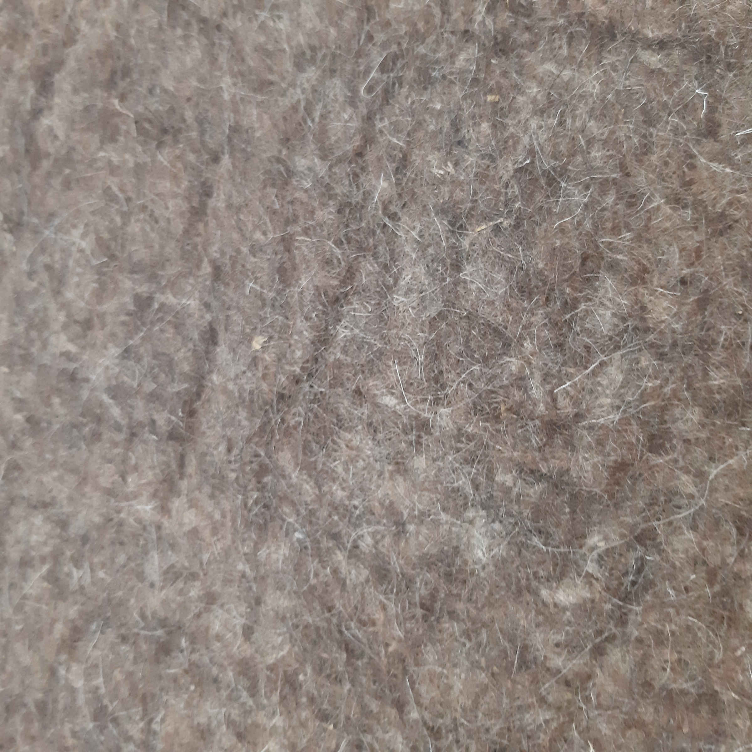 波斯羊毛毡地毯 100%天然手工制作 凯万