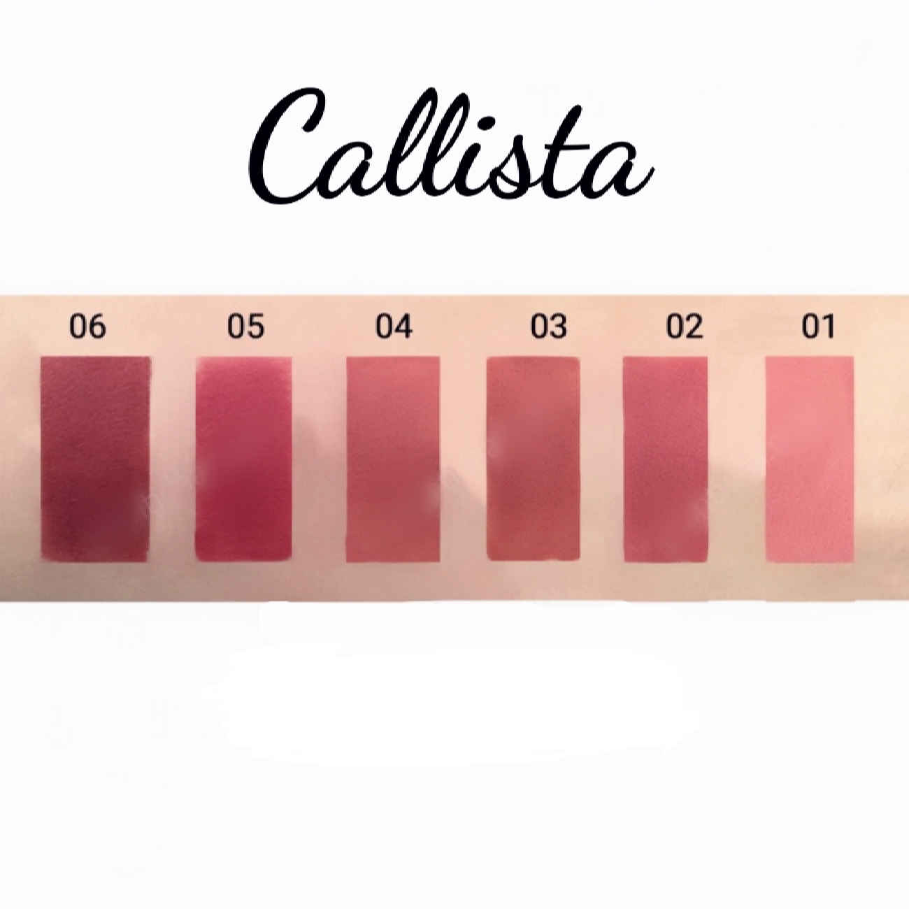 Calista 持久口红 – 丰富色彩,奢华质感,色号6