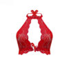 Thumbnail 2: 蕾丝文胸与内裤套装 – 大胆红色蕾丝，挂脖设计