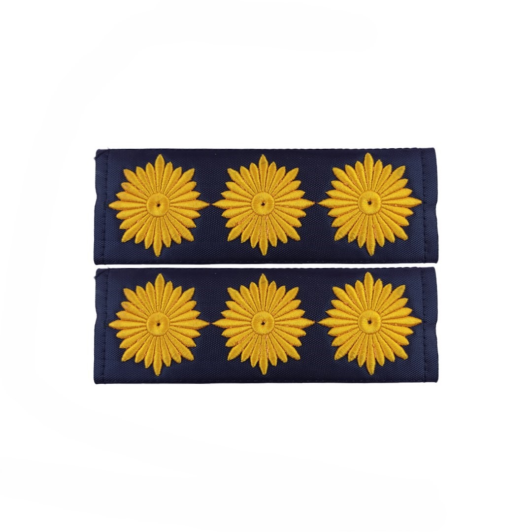 Main image of 军衔标志 – 一对上校级别徽章，带背胶