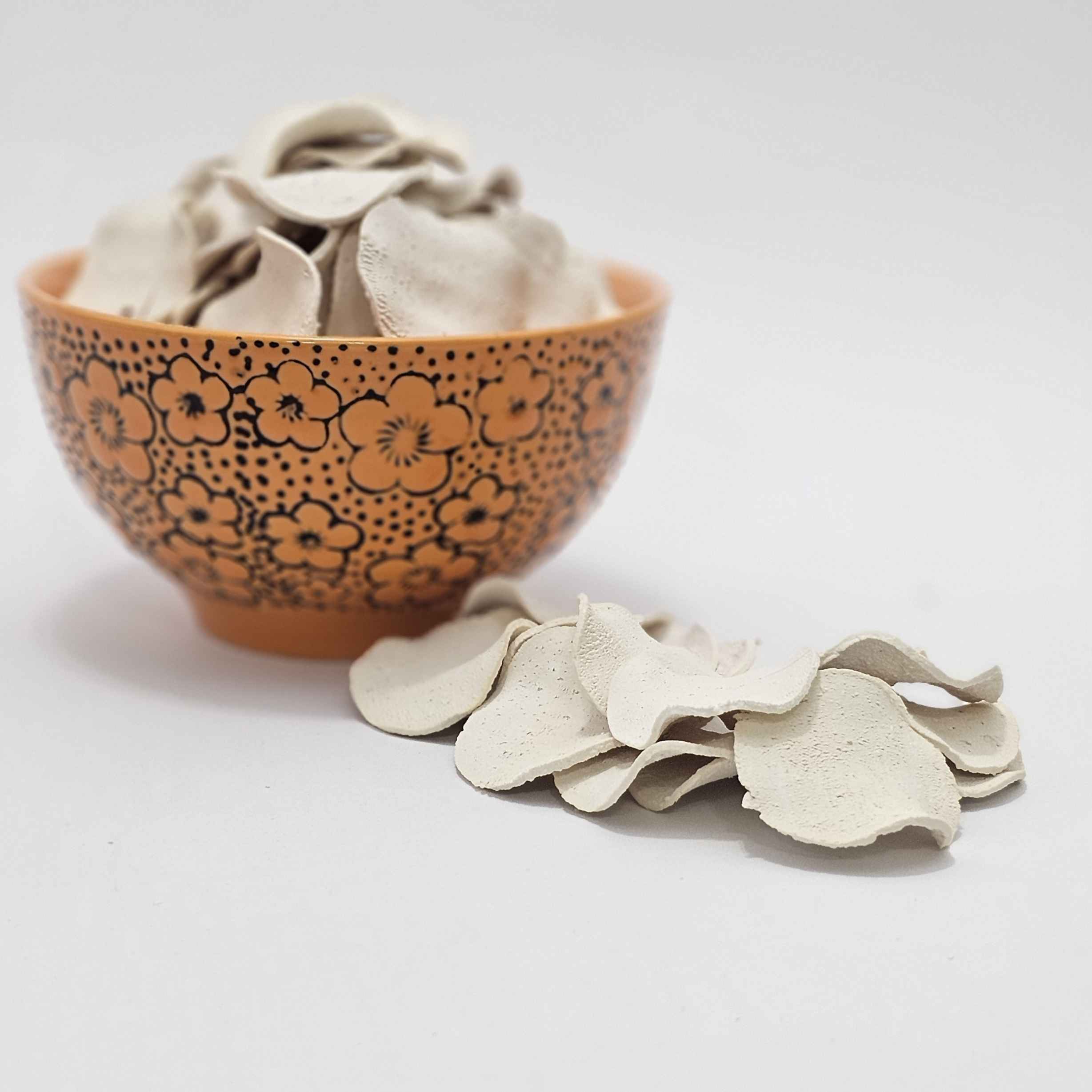 Kashk – 波斯干凝乳,薄荷口味,10包装,每包25克