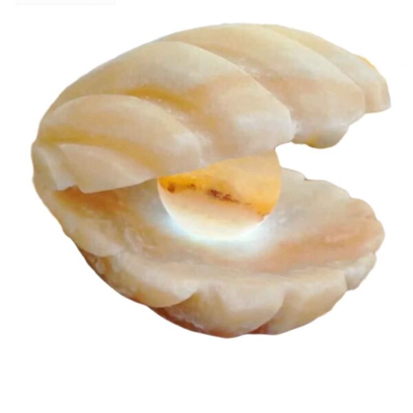 波斯盐晶灯 – 自然健康之选，缓解压力的完美礼物，带架设计