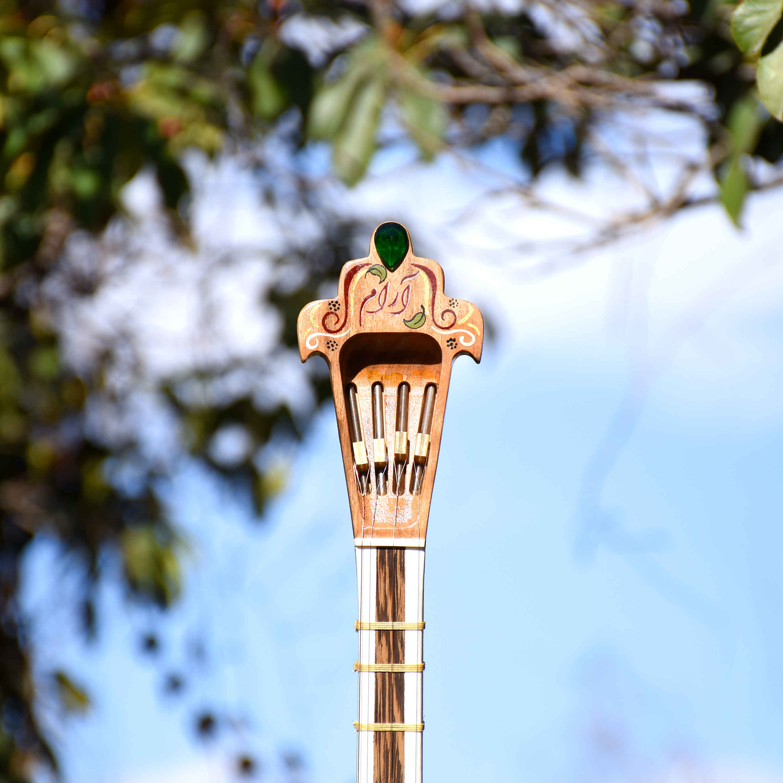 波斯专业 Setar 琴 – 由 Iransaz 手工制作,Aram 型号(专业款)