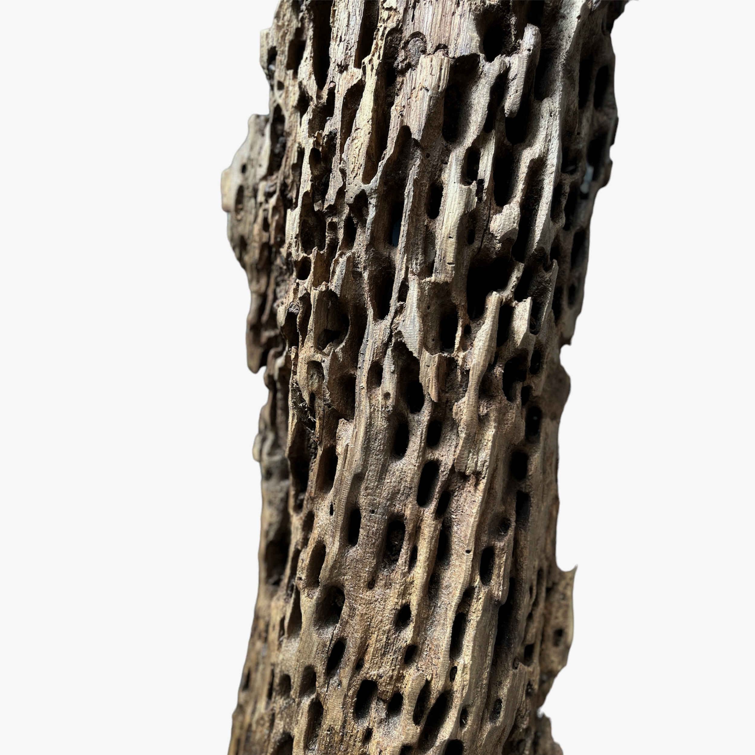 质朴原木台灯——天然木质装饰,提升家居美感