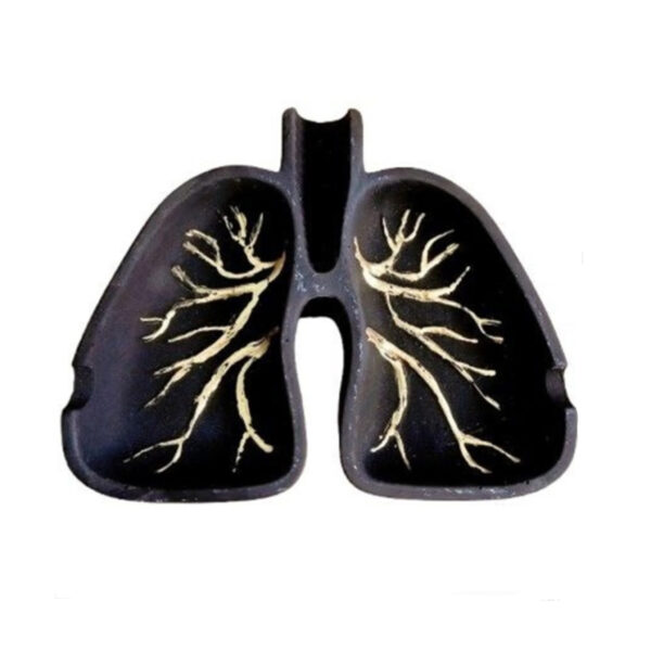 新奇石制烟灰缸 – 肺部造型，艺术石雕