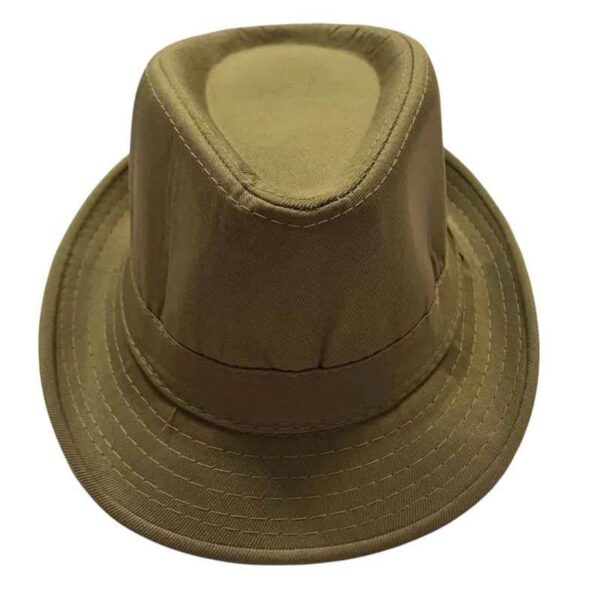 传统伊朗沙普帽 – 手工制作，时尚独特