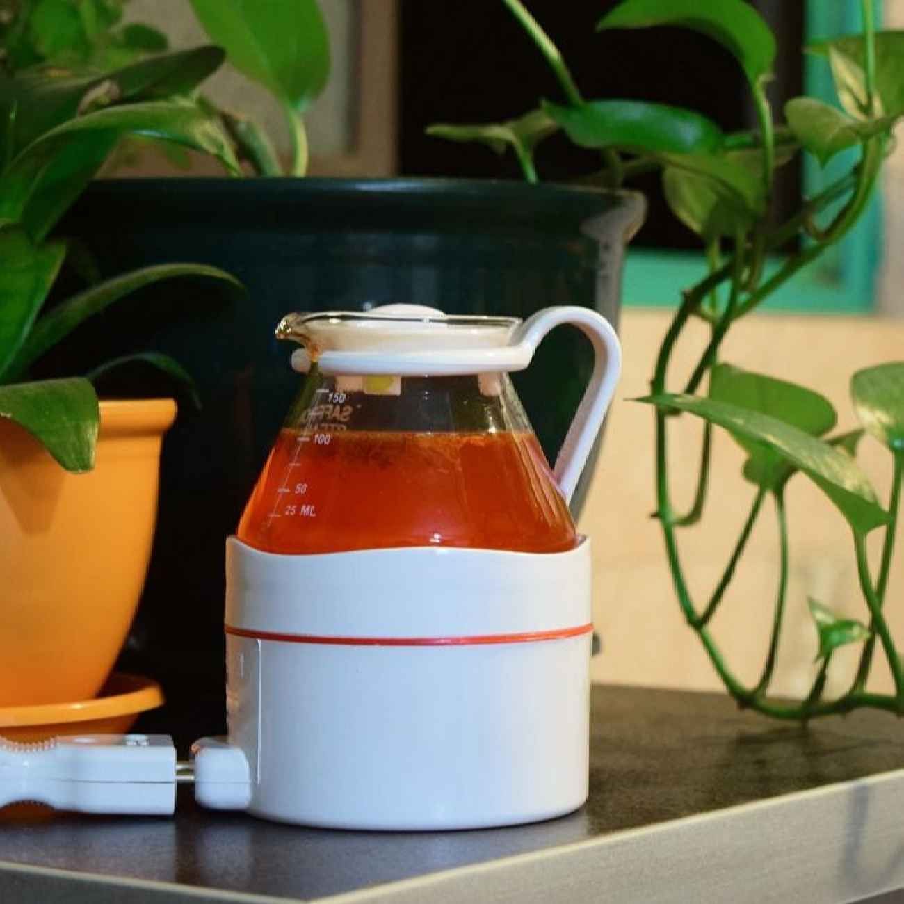 电动煮藏红花蒸煮器 – 泡制与浸润风味专用