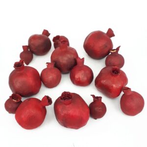 Yalda 干石榴装饰模型，12 个装