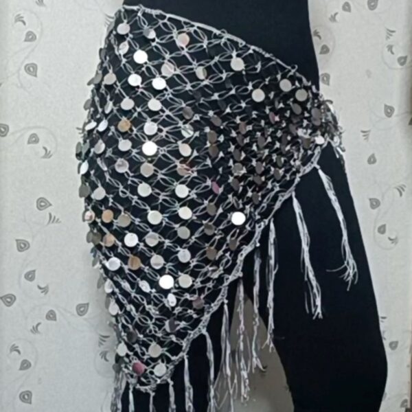 Belly Dance Hip Scarf with Coin for Women – Suitable for Costume and Practice Wear (1)