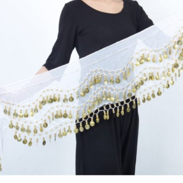 Coin Belly Dance Hip Scarf – Suitable for Party and Stage Wear