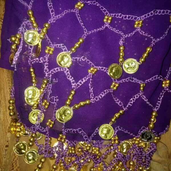 Coin Belly Dance Hip Scarf– Suitable for Festival and Party Accessory