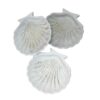 Handcrafted Seashell Jewelry Organizer for Keepsakes and Treasures - Glitter Design 3 Pcs (5)
