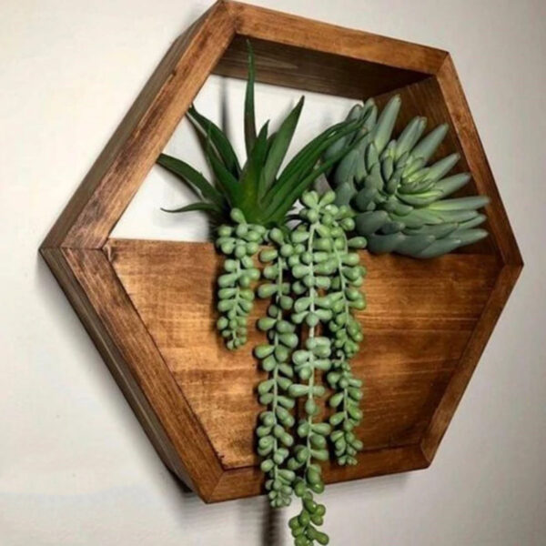 Hexagon Wall-Mounted Cactus Planter - Wooden Material (3)