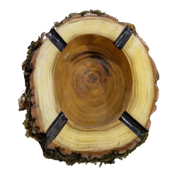 Log Ashtray with Natural Wood Finish – Suitable for Rustic Decor