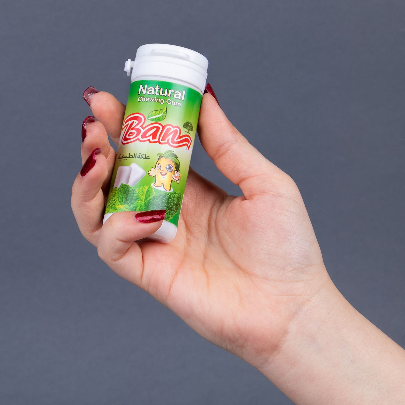 天然薄荷口香糖 – 随时清新口气,4片装