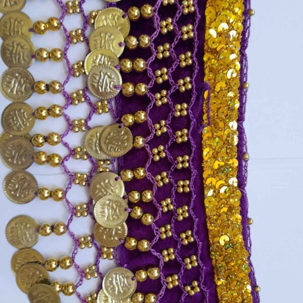 Belly Dance Coin Scarf – Rave, Halloween, and Festival Hip Wrap (4)