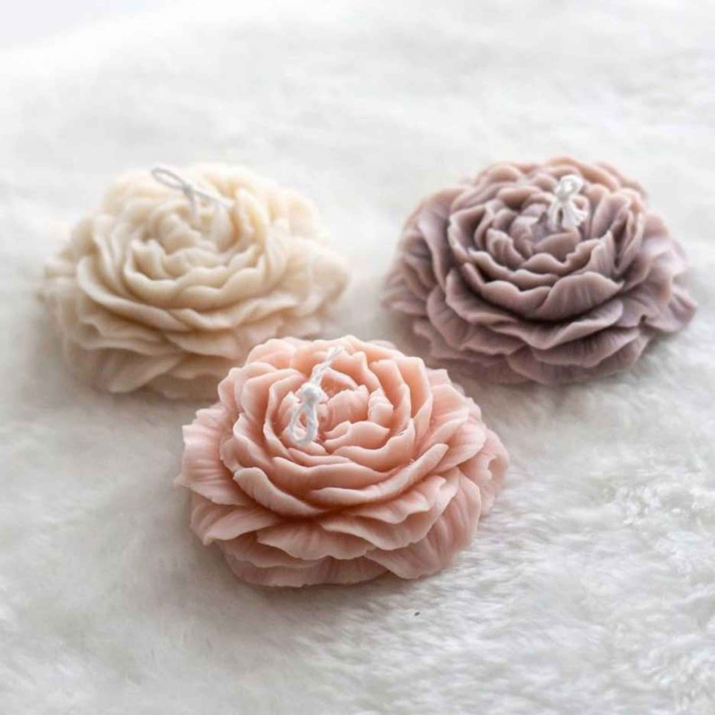 蜡烛模具套装——包括海葵花、雏菊和经典玫瑰设计，3件套