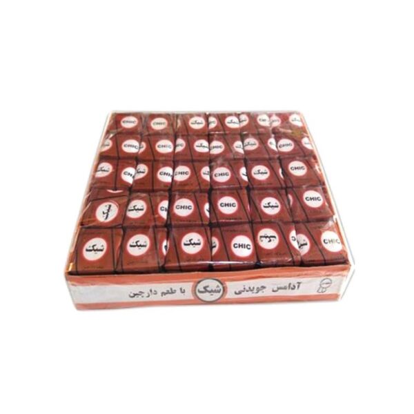 Chic Cinnamon-Flavored Gum, Pack of 60 (2)