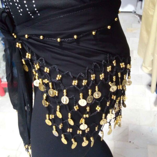 Chiffon Belly Dance Hip Scarf - Perfect for Festival with Silk Thread & Coins (2)