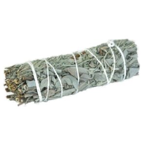 白鼠尾草净化香棒 – 芳香传统款（2支装）