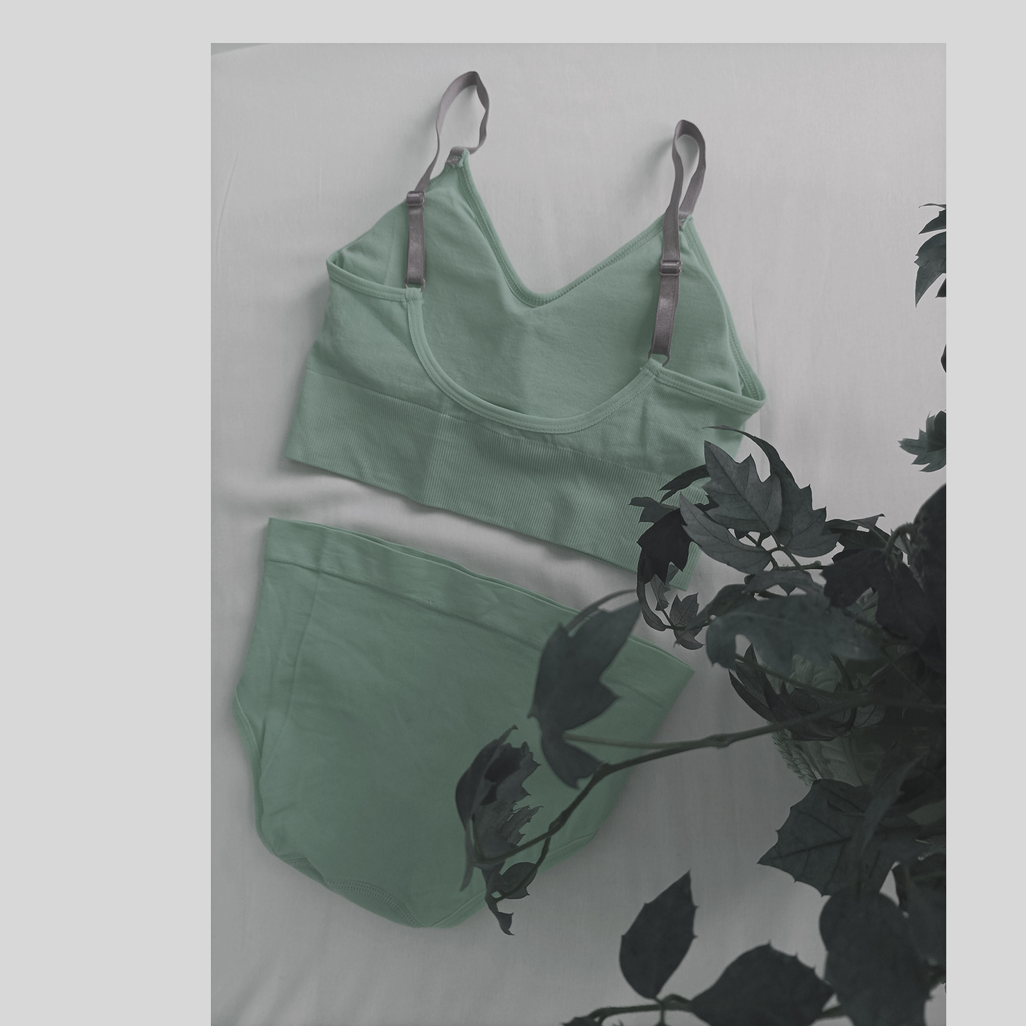 轻柔加垫运动文胸及内裤套装 – 浅绿色,适合健身及居家休闲