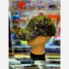男女通用军用帽 – 战术/军风设计