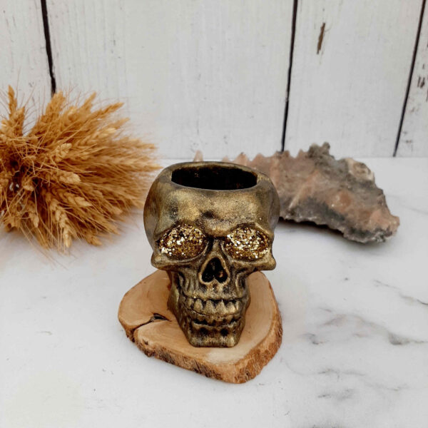 Skull Ashtray for Smokers – Unique Novelty Resin Ashtray for Home Décor, Bar, or Gift (5)