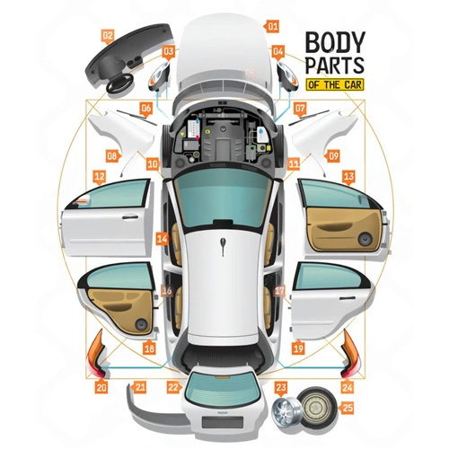 Body Parts